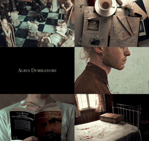 ibuzoo: Harry Potter Meme - @hp-moods​ & @ibuzoo​ [1/9 Order of the Phoenix Members] - Albus Dum