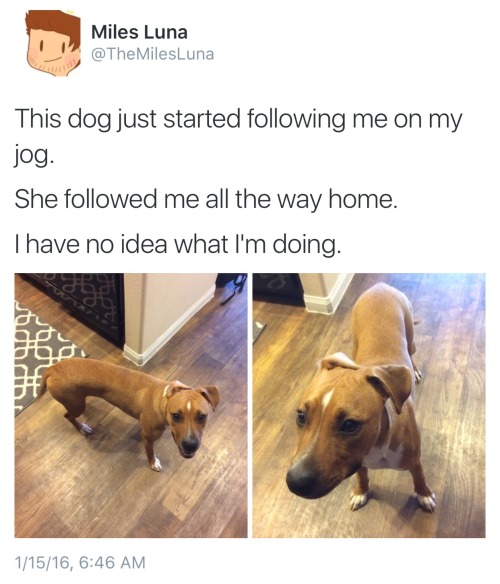 thefingerfuckingfemalefury: dragonydragon: I give you: the most Wholesome Story to ever be told