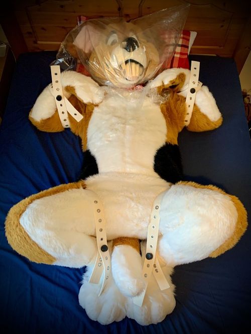  MidnightPlushPet on Fetlife