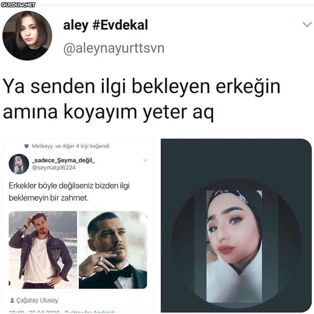 aley #Evdekal...