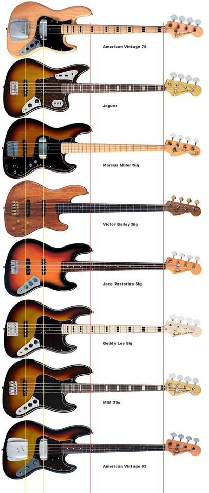 The anatomy of the Fender Jazz and Jaguar bass!