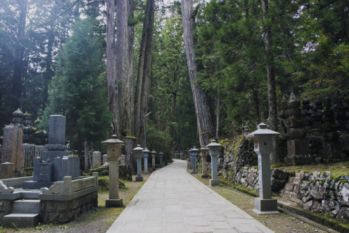 おはよう日本！~Koyasan~ | pt. 2