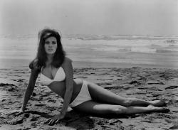 vintageruminance:  Raquel Welch - bikini,