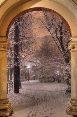 bonitavista:  Turin, Italy photo via freda