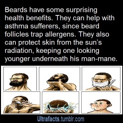 ultrafacts:  kyoton:  ultrafacts:  Source More Facts  Science.    gorillazroutine reasons why you should not shave it off ;)