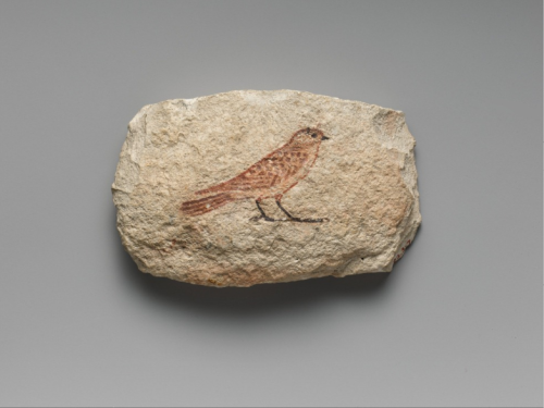 uncertaintimes: Artist’s Sketch of a Swallow, New Kingdom, ca. 1479–1458 B.C. metmuseum.org