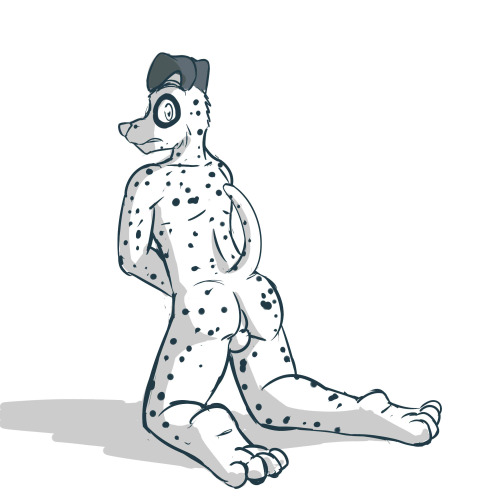 Sketch Request - View of an anthro dalmatian’s porn pictures