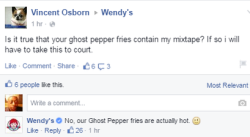 pomgorl:  sonypraystation:  hello, crimestoppers? yeah i just witnessed a fucking murder  damn Wendy’s!