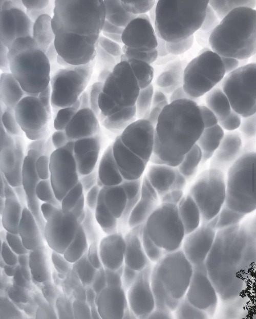 Mammatus Clouds