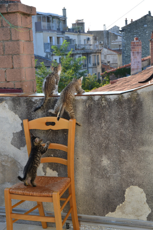 oh! le vaste monde. (by pascale une autre)