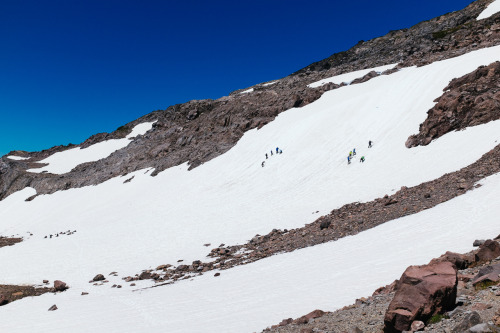 XXX Mount Rainier’s Nisqually Glacier. photo