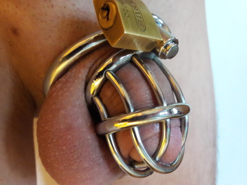 sissytranspenelope:Day#690   My little tiny cock is back inside my lovely steel metal chastity cage.