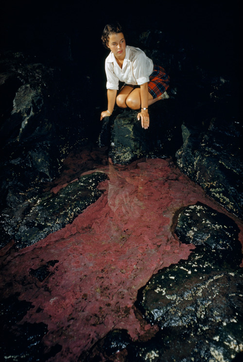 A woman perches above red algae in a stagnant pool inside Anemone Cave on Mount Desert Island, Maine