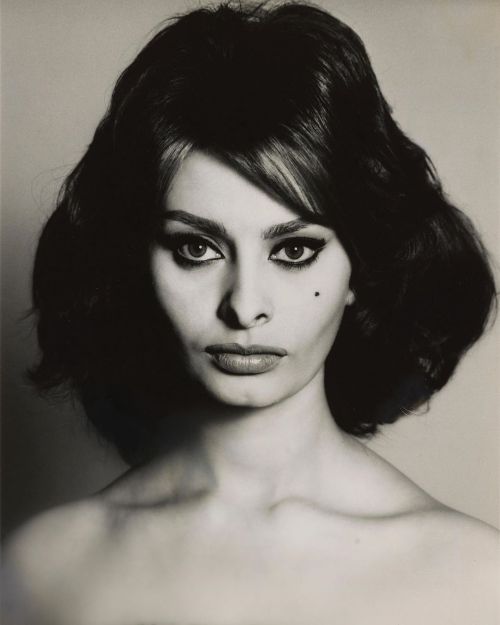 ohyeahpop: Sophia Loren, New York, April 15 1959 - Ph. Richard Avedon