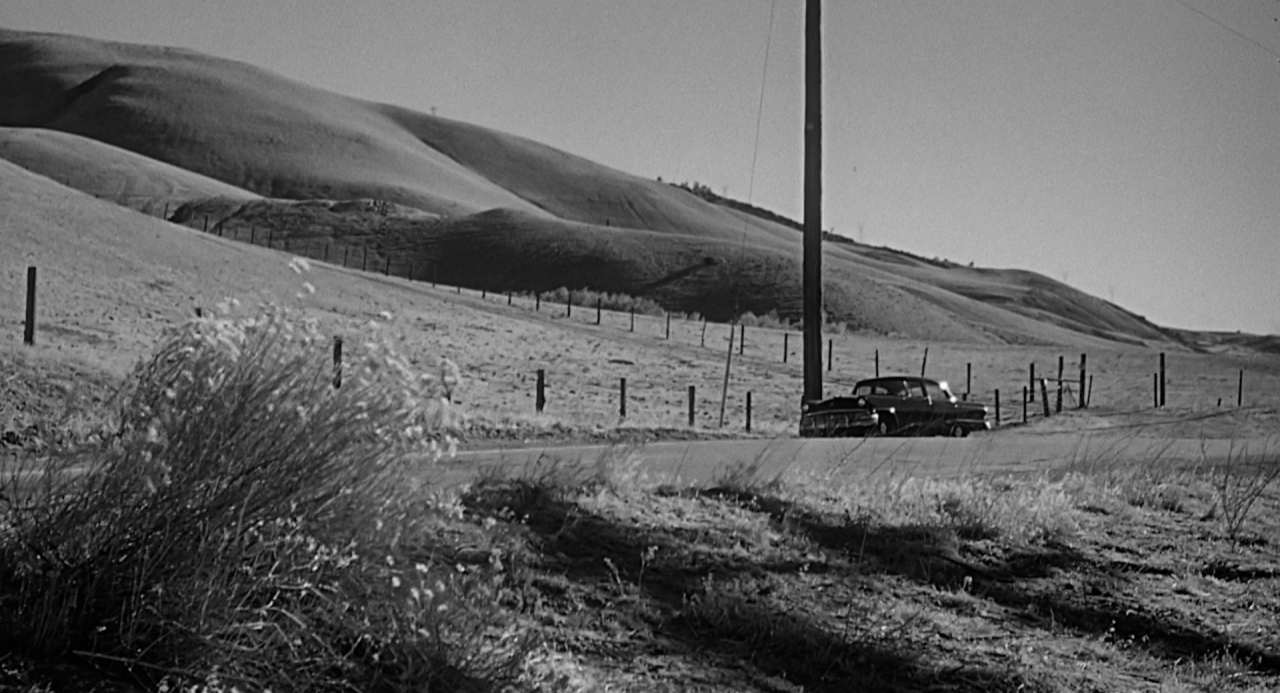 cinemaenvironments: Psycho (1960) The film and its imagery still haunts.  Directed