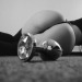 curiosa67: