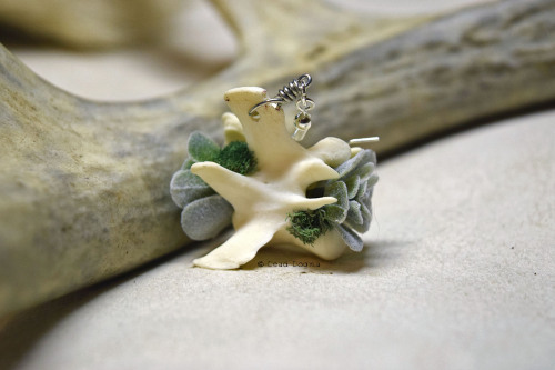  Raccoon vertebrae with fake succulents earrings - Available here | Store | Facebook | Instagram | K