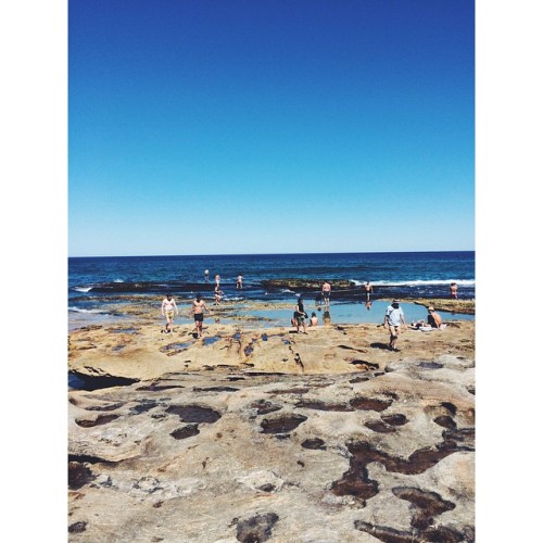 Days like these&hellip;my #new #favourite place to take @baileythebeaglier_ #tamarama #rockpools