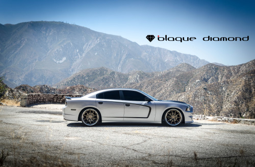 2014 Dodge Charger Fitted With 22 Inch BD-23’s in Bronze w/ Chrome SS LipA smooth and controll