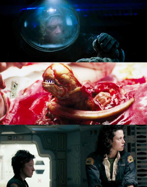 chrisnolansscarf:  Movies to watch before you die: Alien (1979) It’s got a wonderful defense mechanism. You don’t dare kill it. 
