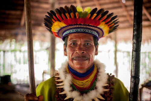 South America (Ecuadorian and Peruanian Amazon) : Secoya people