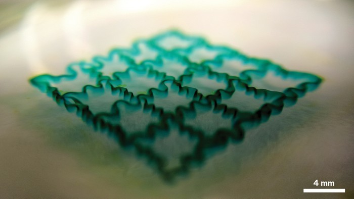 Laser cut
Hitendra Kumar of the University of Calgary and Zhangkang Li, a PhD student in his lab, are creating hydrogels like this one that can house cells and maybe one day mimic living organs. But before they do that, they still need to make...