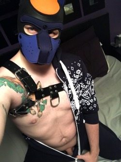 foxpupkit:Who said you can’t mix pain and pleasure? ⛓🐶🖤