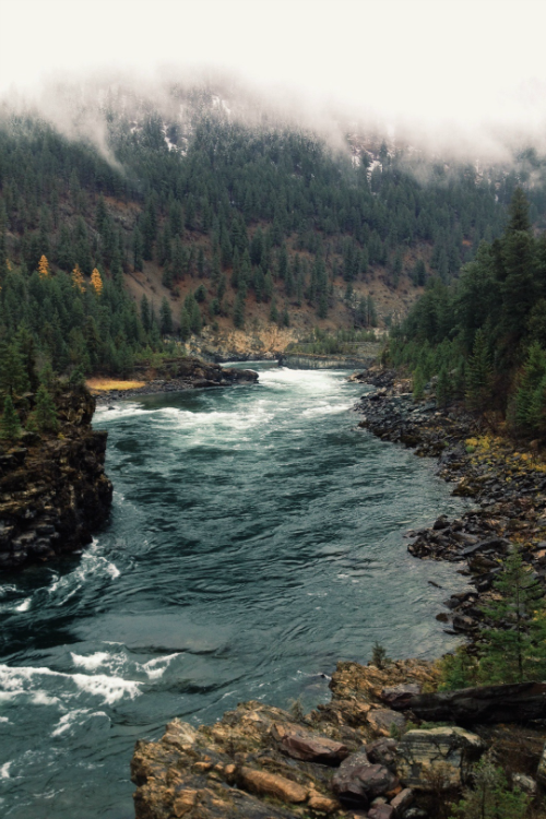 expressions-of-nature:Kootenai Falls, Montana by Liang Ge