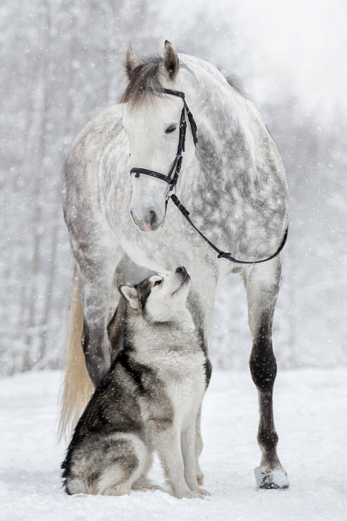 gardenofelegance: jmoney867: friendship By Svetlana Pisarev