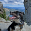 mountainmagg
