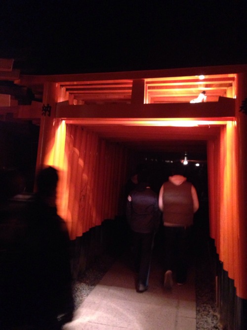 My first visit of the year to a shrine happened to be Fushimi Inari taisha, Kyoto, which draws the m