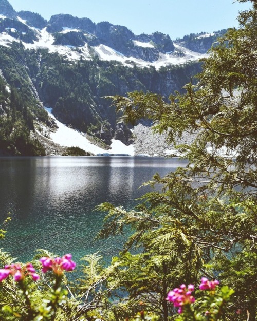 adventureovereverything: Wildflowers, alpine lake & mountains. The perfect day ✨