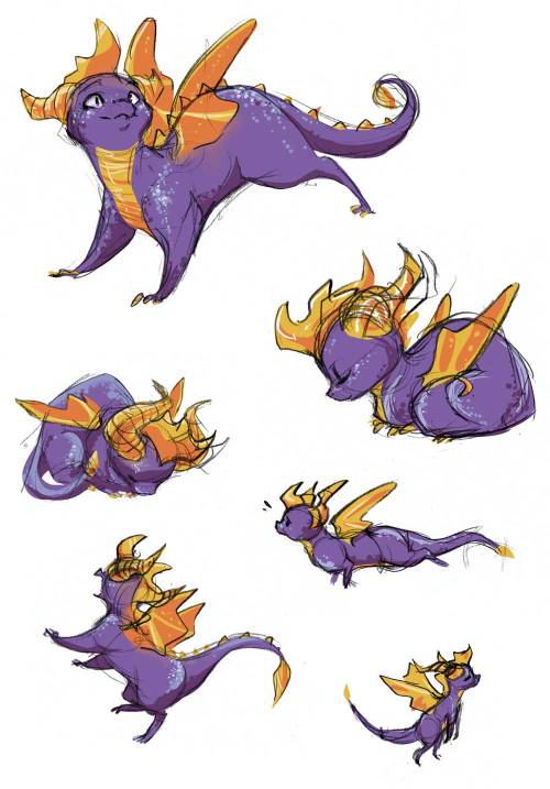 noisedraws: Psst have some off-model Spyro sketches. I miss this adorable, snarky little critter; so