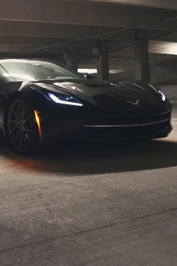 supercars-photography:  Stingray