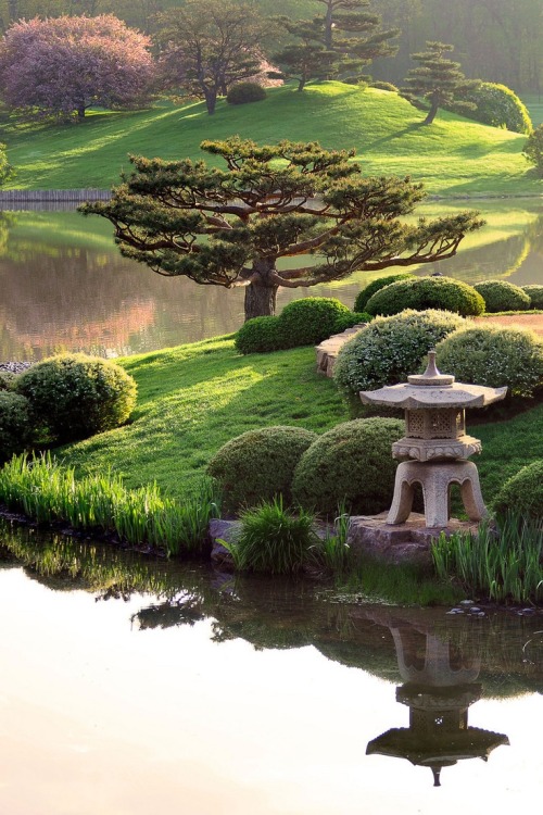 beautiful-world-out-there: Japanese Garden