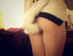 lost-lil-kitty:  I wanna wear my tail ALL DAY today :p