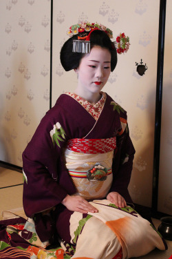 okiya:  Maiko Tomitae, Gion Higashi Poised