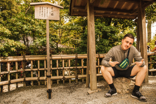 Thursday 5th October 2017. 11:30 Kyoto Japan.Kinkakuji Temple located on the west side of Kyoto. It&