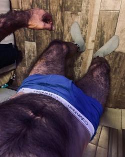 thebearunderground: The Bear Underground - best in masculine hairy men With over 61,000+ posts and 27,000+ followers 