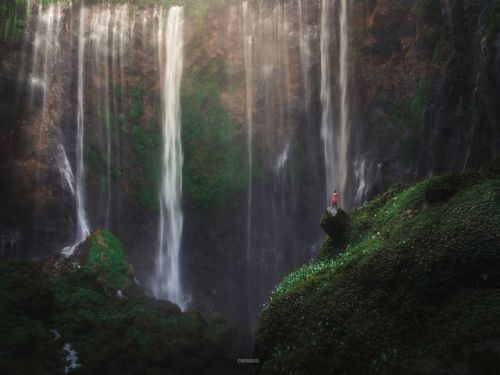 Top Shot: A Thousand Waterfalls    Top Shot features the photo with the most votes from the previous