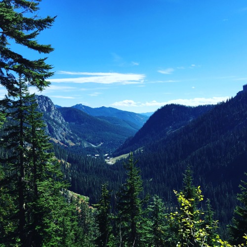 myseattleview: Summer hike
