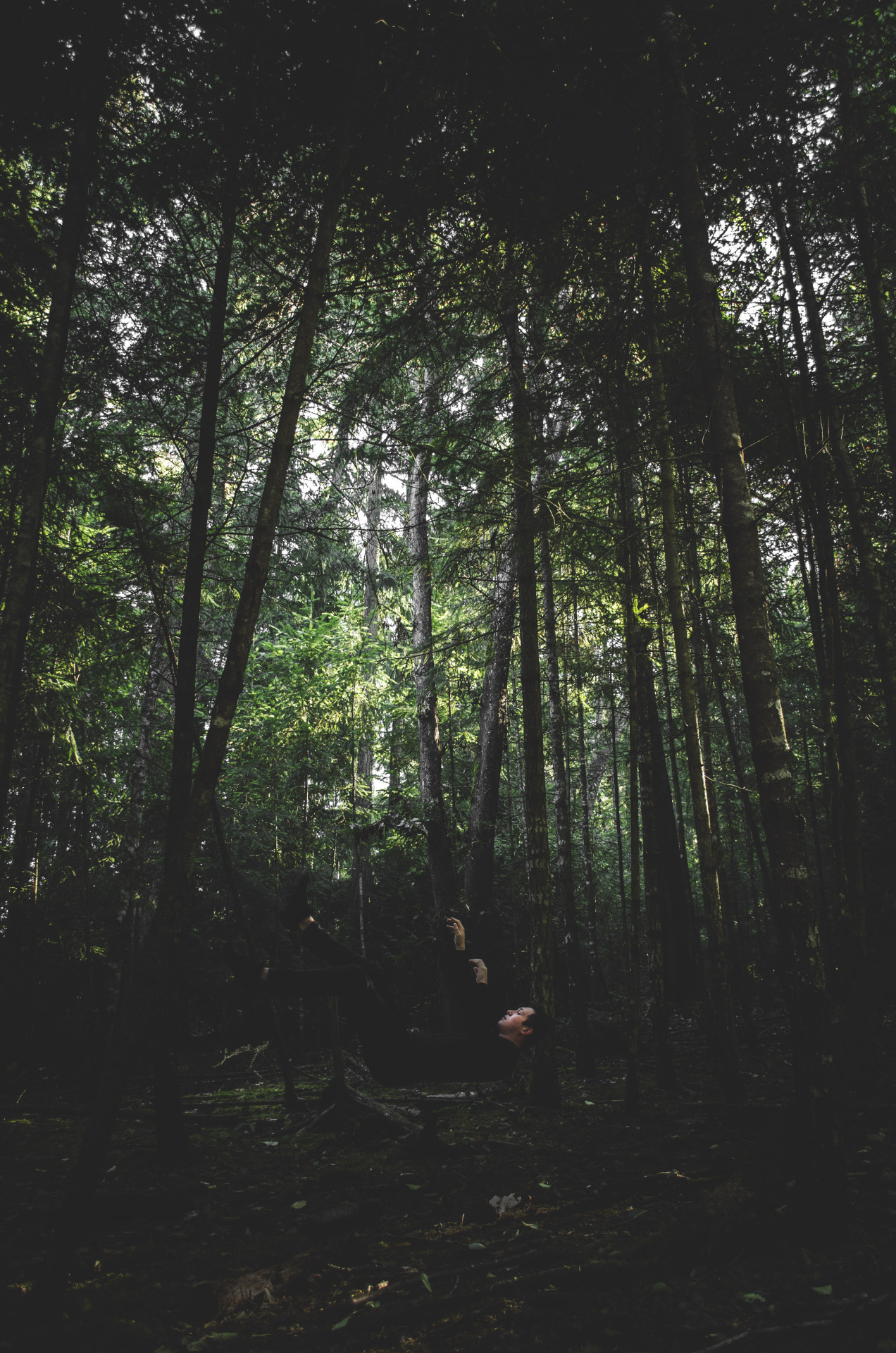 oh-haroo:  Follow me for more vertical nature and landscape!