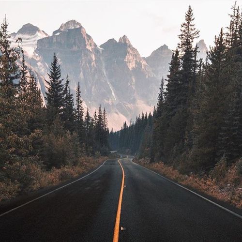 Summer is just around the corner. Which means it&rsquo;s road trip time! Who&rsquo;s going w
