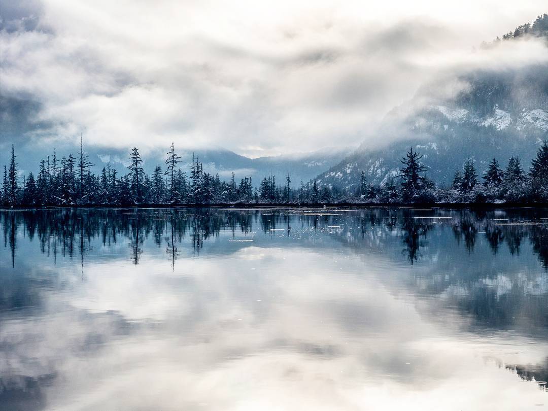 bluishness:  by pebbleshoo 