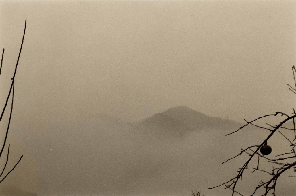 nobrashfestivity:  Masao Yamamotomore