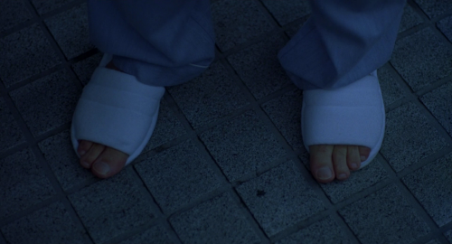 cinematographic:  Lost in Translation + Details Director: Sofia Coppola Cinematography: Lance Acord 