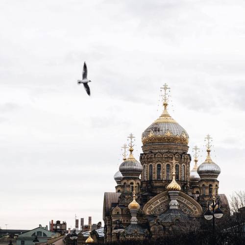 aeide-thea: gagarin-smiles-anyway: Dormition Church of the Optina Monastery, Saint Petersburg (idbro