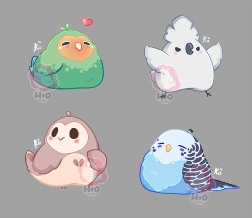 hiodollz-moved:Patreon tier birbs finalized! Which is you’re favorite bird? Hiodollz Moved Here!