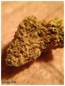 djfaded:  Left Side/Indica Strain: Gods Gift