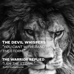 justbeingnamaste:  If a warrior is to succeed